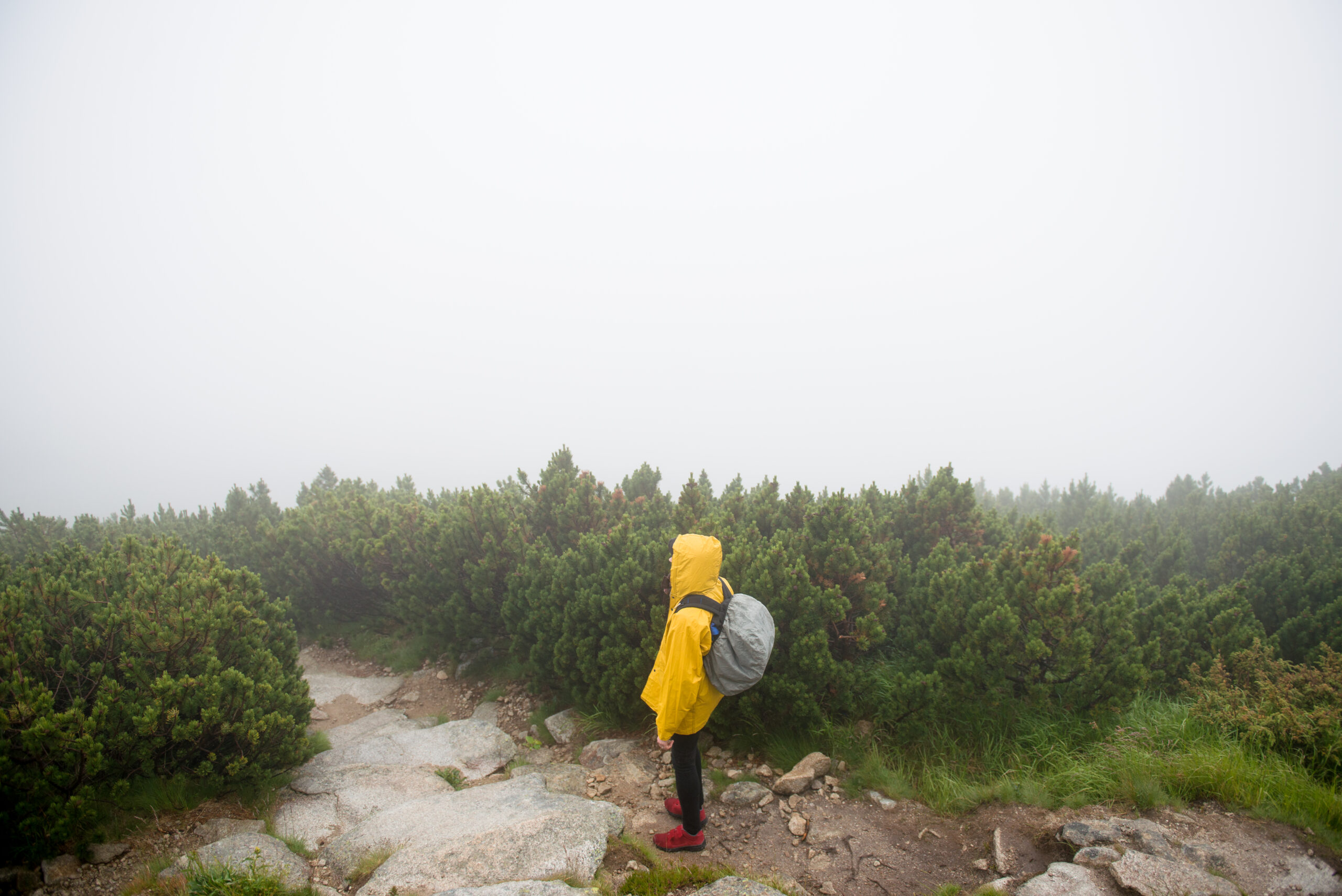 Welcome to Ready. Steady. Hike!