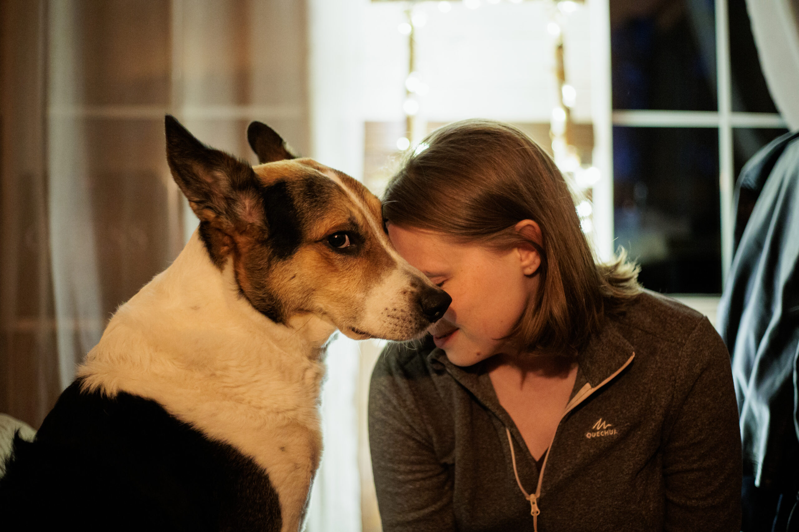 Hiking with Dogs: Your Complete Guide to Trail Adventures with Your Four-Legged Friend
