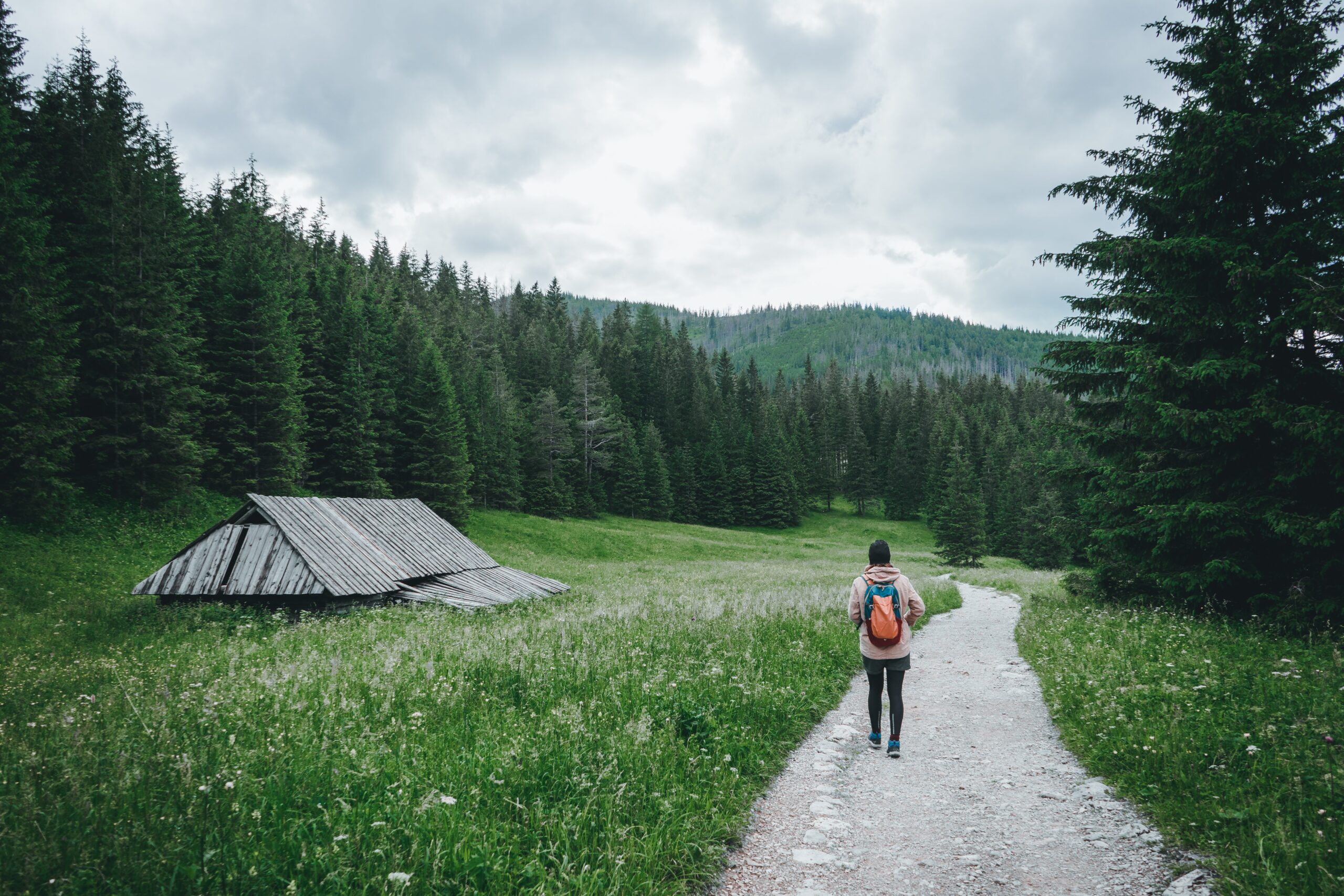 What to Do If You Get Lost While Hiking: Your Essential Survival Guide