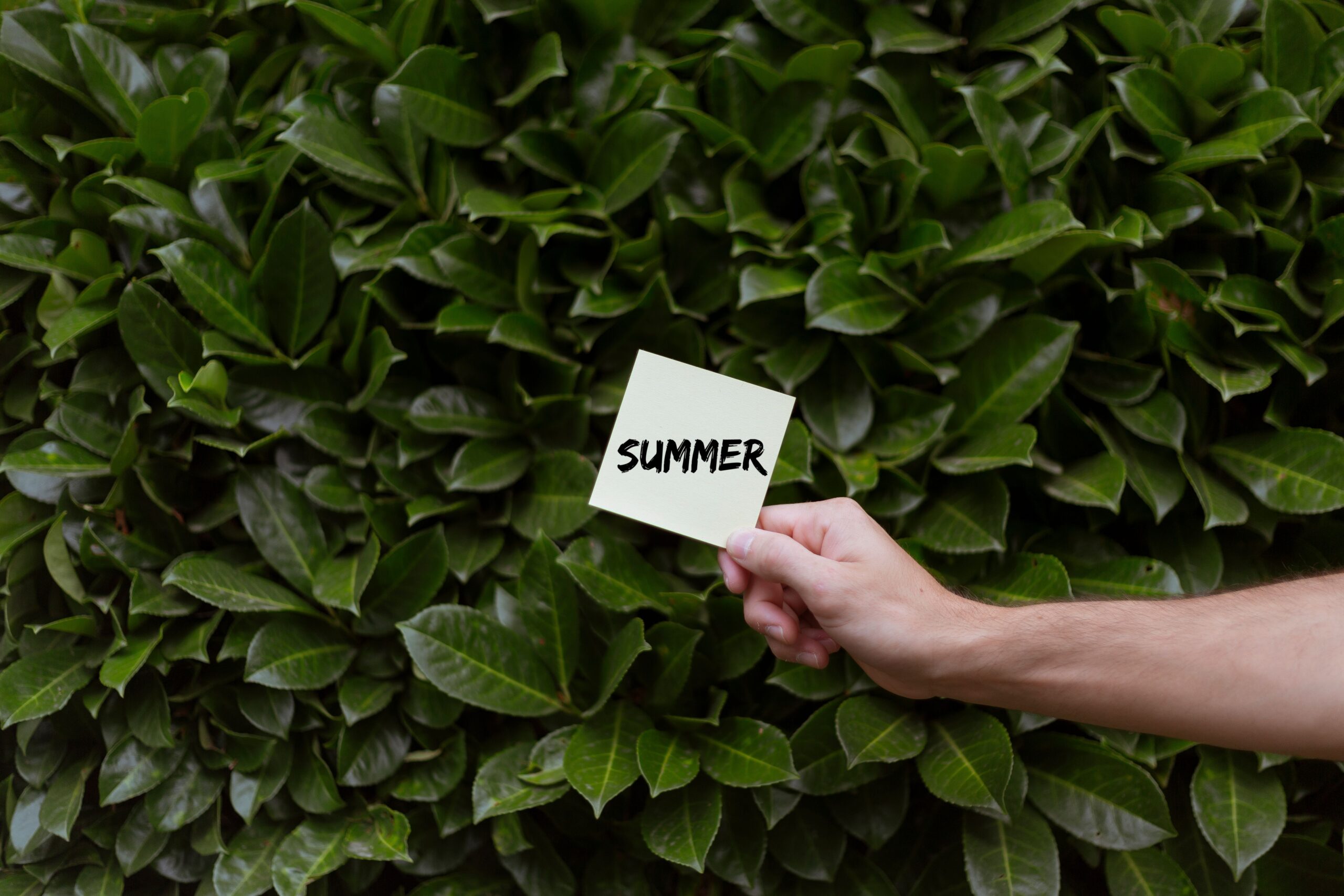 How to Stay Safe and Comfortable While Hiking in Summer Heat