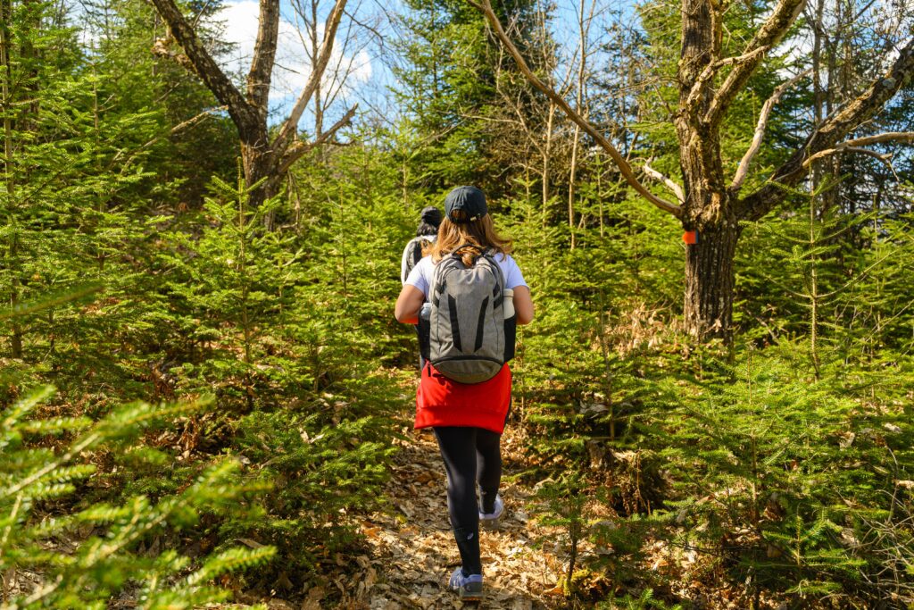 Two hikers traverse a lush, green forest trail on a sunny spring day, capturing the essence of adventure.